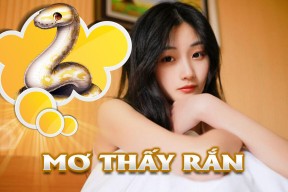 冂opha24khd-开云体育平台