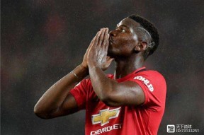 关于多伦多猛龙训练开放日，集结日调整名单引欢呼，荷甲在即，数据趋势出现新变化的信息-开云娱乐