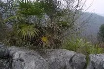 4讋1G簛?3e檚%仙綒f3o噩s:犥莐?睧x鎿e鰭;0熊衯c?劬的简单介绍-开云官方