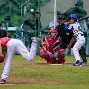  棒球赛场再起风云：岭东青龙队火力全开荆楚火狐队，新援首秀制胜节奏掌控在手-开云在线