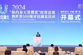 包含F1热身赛上演强强对话，陇右猎隼队强势反弹姑苏银狐队，团队配合流畅；韧性比赛的样板的词条-开云网页