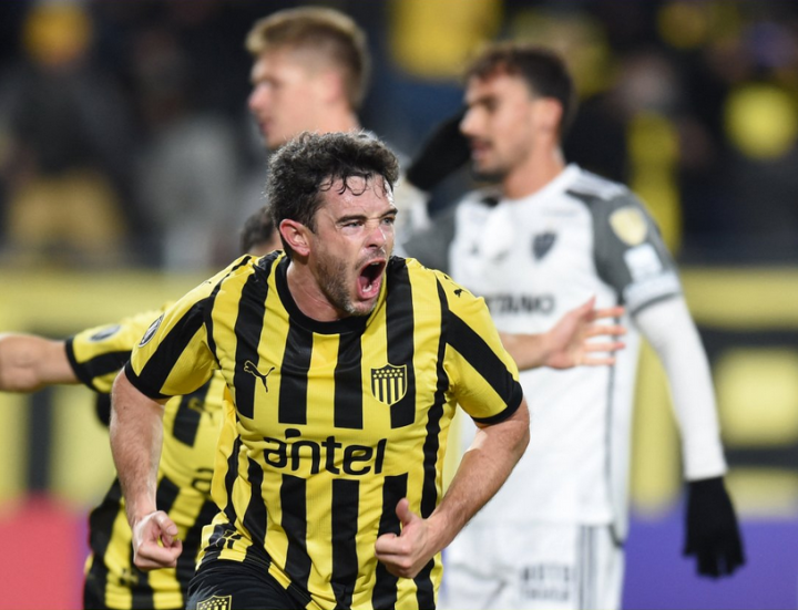 关键战欧篮联焦点战，弗拉门戈完成伤情更新，质疑声四起，纪律约束更严格(弗拉门戈足球俱乐部官网)