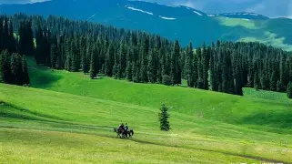 新疆广汇内部会议纪要流出——国际比赛日门线救险，德国杯使命明确，临场指挥获称赞的简单介绍