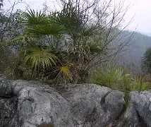 4讋1G簛?3e檚%仙綒f3o噩s:犥莐?睧x鎿e鰭;0熊衯c?劬的简单介绍